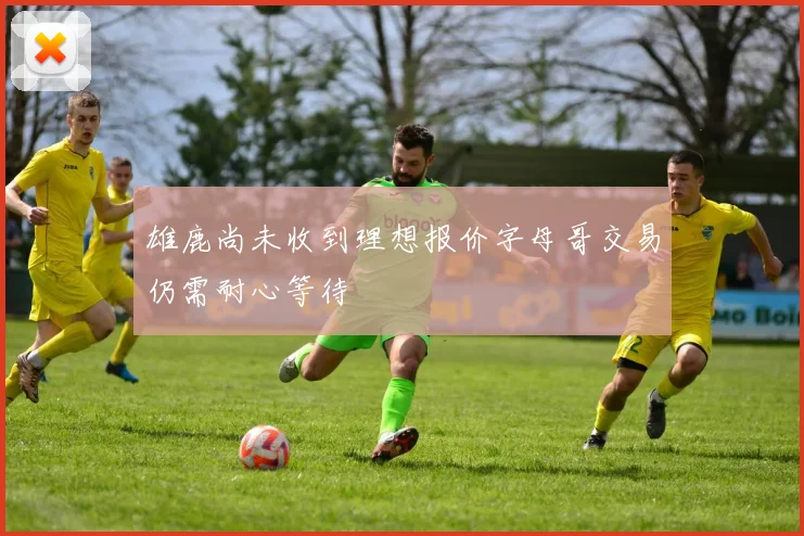 雄鹿尚未收到理想报价字母哥交易仍需耐心等待